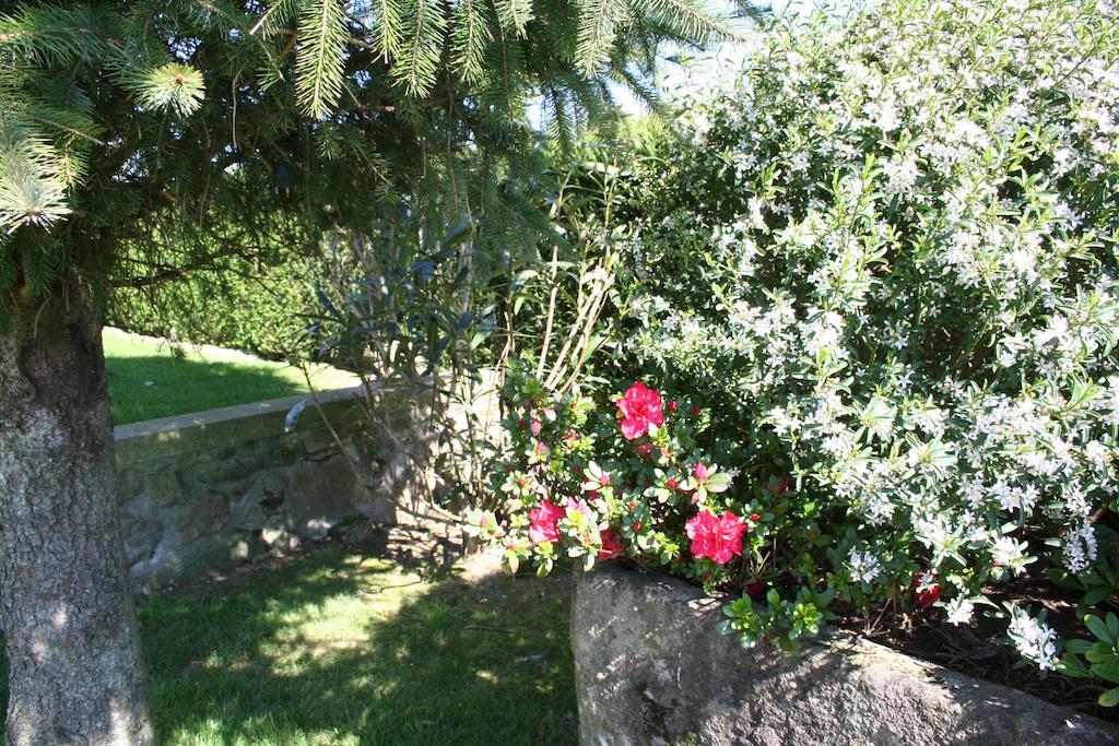 Casa Paz Do Outeiro Bed & Breakfast Paredes de Coura Exterior photo